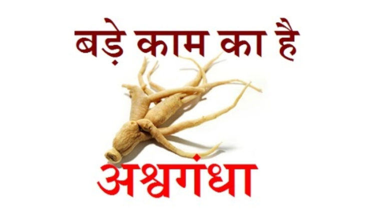 ashwagandha benefits