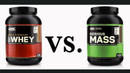 whey vs mass gainer