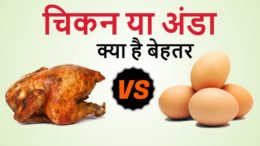 Chicken vs egg