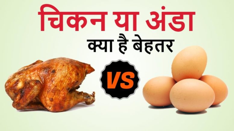 Chicken vs egg