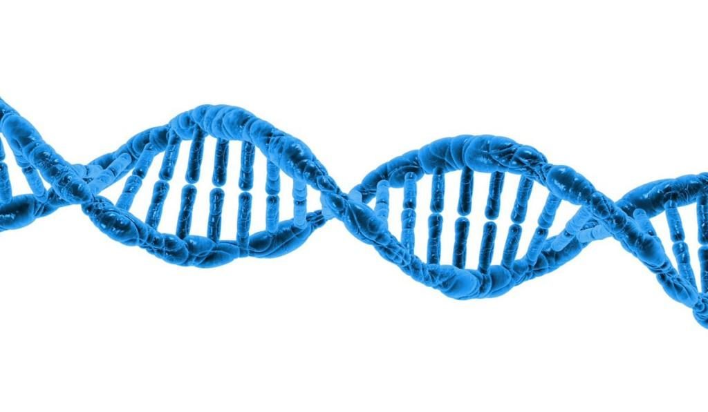 DNA structure