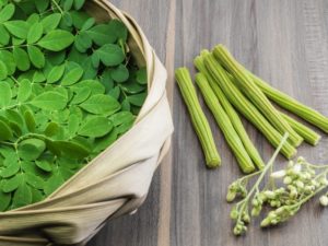 moringa leaves