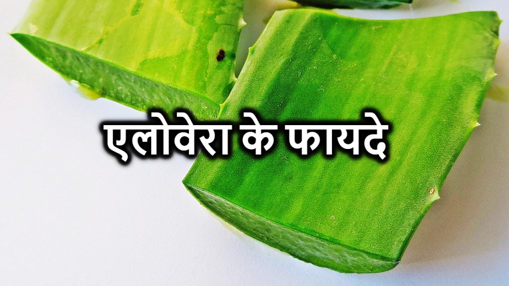 एलोवेरा के 15 गज़ब के फायदे | Aloe Vera Ke Fayde in Hindi