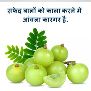 amla