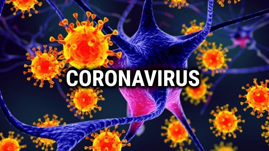 corona virus