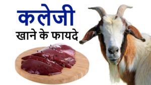 bakre ki kaleji