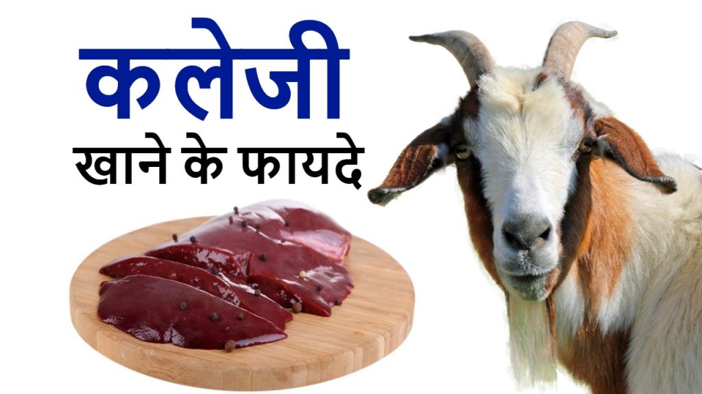 Bakre ki Kaleji Khane Ke Fayde in Hindi |बकरे की कलेजी के फायदे