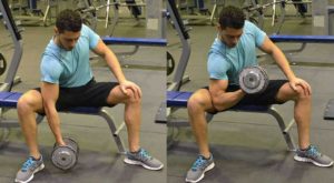 bicep curls