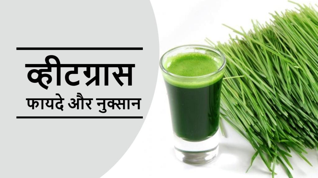 व्हीटग्रास जूस के फायदे और नुकसान : WheatGrass Juice