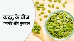 pumpkin seeds