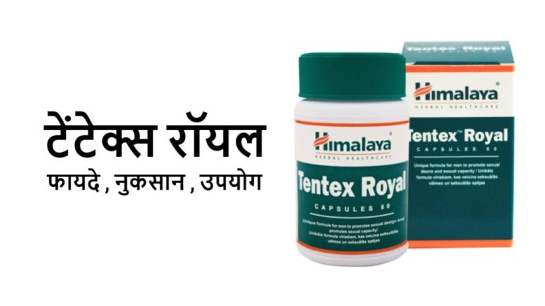 himalaya tentex royal