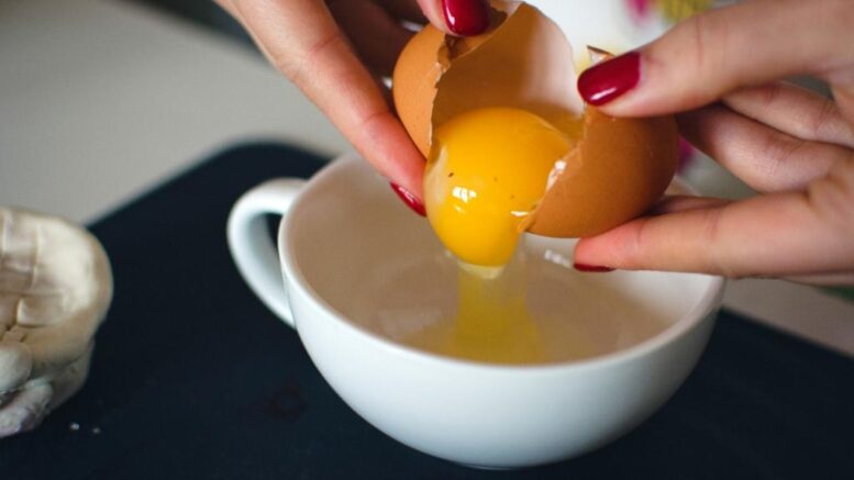 Egg yolk