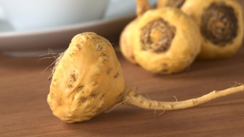 Maca Root: क्या है , फायदे , नुक्सान और उपयोग