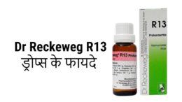 dr reckeweg R13 drops