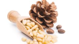chilgoza benefits