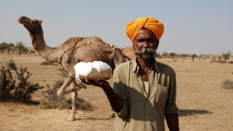 Camel milk ke fayde