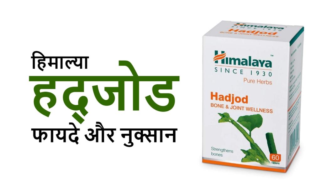 हिमालया हड़जोड़ के फायदे, नुकसान, सावधानी | Himalaya Hadjod in Hindi