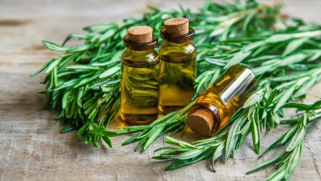rosemary oil